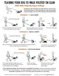 Dog Obedience Training The Basic Loose Leash Walking Dog Training Obedience Loose Leash