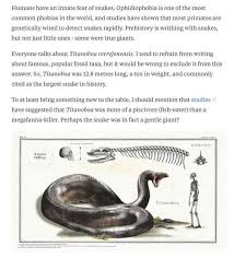 Snakes Are Scary Imgur Most Common Phobias Scary Fun Facts