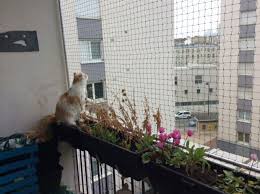 Protection Pour Chats France Structures Sur Mesure Sans Trous Ni Vis 0680120376 Contact Protection Pour Chats Fr おしゃれまとめの人気アイデア Pinterest La Catrinina 猫の屋外ケージ 屋外 猫