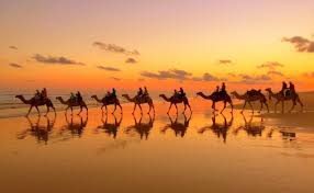 Let us show you the very best luxury touring, experience the key attractions and look back with fond memories of beautiful western australia sightseeing. Top 20 Amazing Things To Do In Broome Plus Travel Guide
