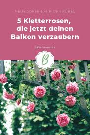 Pin Auf Garten