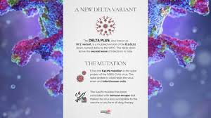 The covid variant now named delta, which was first detected in india, has been reported in 62 countries, the who said wednesday. 0ub4ulp23ypfxm