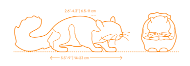 Check spelling or type a new query. Japanese Dwarf Flying Squirrel Dimensions Drawings Dimensions Com