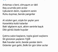 Sarilara Boyamissin Sacini Sozleri Sozlermer