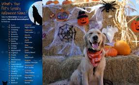Aug 27, 2020 · brown cat names for males. What S Your Pet Spooky Halloween Name Golden Woofs