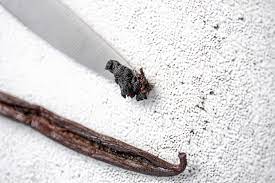 7 Tips For How To Store Vanilla Beans
