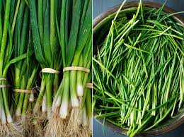 What is a large green onion anyway? Chives Vs Green Onions What S The Difference Allrecipes