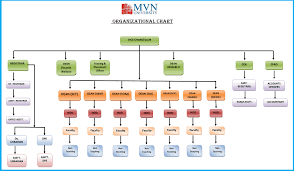 Organizational Chart Mvn University