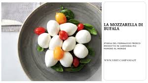 Il tovagliolo va preferibilmente a sinistra, piegato a piacimento e su di esso non va appoggiato nulla. La Mozzarella Di Bufala Storia Di Un Eccellenza Tutta Campana Visit Campania
