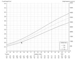 Fetal Growth Examples