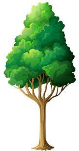 Gallery Recent Updates Tree Art Cartoon Trees Clip Art