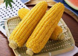 Entah hawa dingin kalah atas negosiasi keramahan tetangga yang mampir membeli. Bolehkah Makan Jagung Semasa Menurunkan Berat Badan