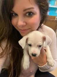 Deaf dog adoption in Lake Las Vegas area