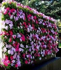 Http Janderson99 Hubpages Com Hub Wall Gardens And Supported Vertical Garden Ideas Designs Tips Vertical Garden Garden Wall Beautiful Gardens
