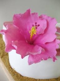 Sugar Paste Hibiscus Sugar Flowers Sugar Flowers Tutorial Flower Cake