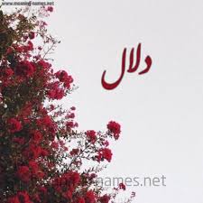 صور اسم دلال قاموس الأسماء و المعاني