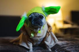 Baby Yoda Meme Quiz Which Baby Yoda Meme Are You Quiz Quiz Games