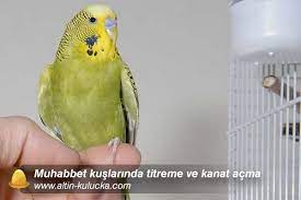 ctzykev3gjyijm