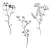 Flower tattoos are inspired from different rich and old cultures. Https Encrypted Tbn0 Gstatic Com Images Q Tbn And9gcsmda2tz54omvl4ryw9jfuwh0bwi9s Ms2bef2ptyzjfouudv K Usqp Cau