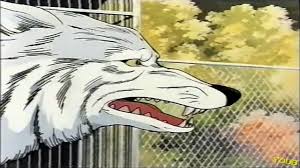 Black and white anime wolves 24 background. Run White Wolf Angry White Fang English Dubbed Anime Movie 1990 Youtube