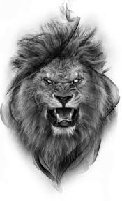 Pin By Darli Androse On Photo Edits Lion Shoulder Tattoo Lion Tattoo Design Mens Lion Tattoo