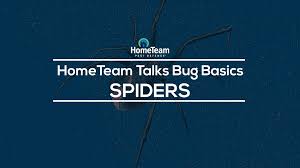 Doxo is the simple, protected way to pay your bills with a single account and accomplish your financial goals. Hometeam Pest Defense Home Facebook