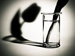 Black And White Objects In My Mind In The Darkest Corners There Where My Fears Hide Where Tears Threaten In My Mind Shadow Photography Glass Photography Reflection Photography
