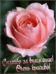 спасибо тебе за то что ты есть у меня Https Encrypted Tbn0 Gstatic Com Images Q Tbn 3aand9gcqo7qc2 Fnfmqqcbfuxlkgbbkbosbfm5bf3da Usqp Cau