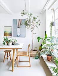 Per trovare le piante da interno ideali per la tua casa, devi fare qualche necessaria riflessione. Piante Da Appartamento Giapponesi