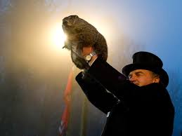There is no specific time as to when a groundhog will come out from hibernation. Groundhog Day Five Absurd Facts You Probably Didn T Know About The Punxsutawney Festival The Independent The Independent