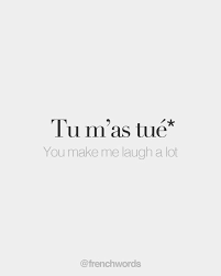 Literally You Killed Me Familiar Write Tuee If You Re A Girl French Words How To Speak French French Expressions