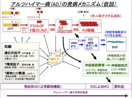 リヴァイ・アッカーマン (levi ackermann)は進撃の巨人に登場する架空の人物。 調査兵団の兵士長。人類最強の兵士として知られ、その実力は1人で1個旅団並の戦力とも噂される。 冷徹かつ無愛想。現実主義で口調も辛辣。 ã‚¢ãƒ«ãƒ„ãƒã‚¤ãƒžãƒ¼ç—…ã®åŽŸå›  ã‚¢ãƒ«ãƒ„ãƒã‚¤ãƒžãƒ¼ç—…ã«ã¯3ã¤ã®ç‰¹å¾´ãŒã‚ã‚‹ ãƒ¡ãƒ‡ã‚£ã‚«ãƒ«ãƒŽãƒ¼ãƒˆ