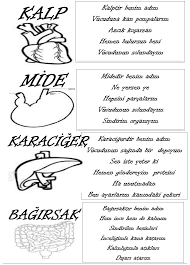 2 Sinif Hayat Bilgisi Ic Organlarimiz 2 Sinif Hayat Bilgisi Ic Organlarimiz 2 Sinif Hayat Bilgisi Duyu Organlarimiz 2 Sinif Hayat Hayat Bilgisi Sinif Okul