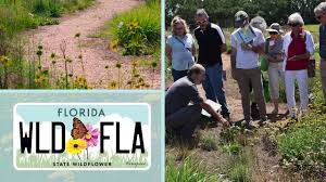 Learn to grow florida's native wildflowers at home. Florida S Native Wildflowers Florida Wildflower Foundation