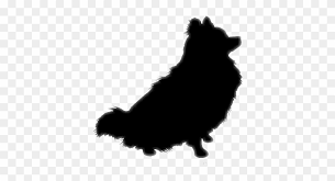 Choose from 180+ dog silhouette graphic resources and download in the form of cartoon dog silhouette looking back on tummy. Pomeranian Silhouette Dog Pom Pomeranian Clip Art Hd Png Download 376x376 3878589 Pngfind