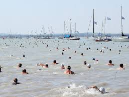 Balaton átúszás résztvevői úsznak az 5,2 kilométeres távon balatonboglár felé. Balaton Atuszas Tul Az Egymillio Kilometeren Nso