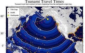 Historically, tsunamis generated by earthquakes in alaska have caused damage and loss of life along the west coast and across the pacific. Alaska Hit By 7 9 Earthquake Tsunami Warning Canceled