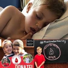 Jade Johansen (@TeamHardyx3)