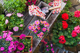 We did not find results for: Gardening Different Spring And Summer Flowers Gardening Tools On Garden Table Stockphoto