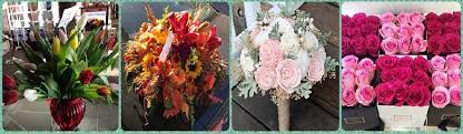 Claire's flowers of santa clarita, ca provided wedding flowers and fabric draping for this gorgeous october wedding. The 6 Best Options For Flower Delivery In Santa Clarita 2021