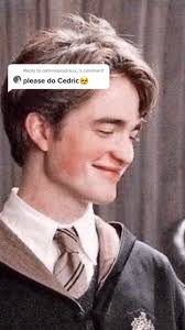 Cedric Diggory Full Body