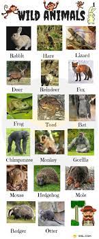 Animal Names Types Of Animals List Of Animals Animal Pictures 7esl Animals Name In English Wild Animals List List Of Animals