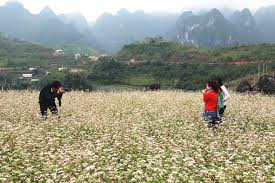 Tháng Mười hoang hoải giấc mơ thương nhớ