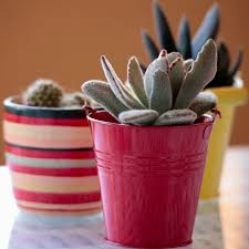 We did not find results for: Succulent Planters 25 Fun Looks That Show You Can Plant Succulents In Anything