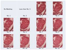 24 Expository Wagyu Marble Score Chart