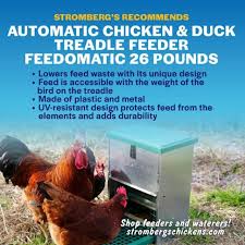Amazon.Com : Paulozyn Automatic Chicken Feeder Treadle No Waste Metal 25Lbs  Large Capacity Poultry Trough With Weatherproof Lid For Hens Fowl Duck,  Feeds 6-12 Poultry Up To 10 Days… : Patio, Lawn & Garden