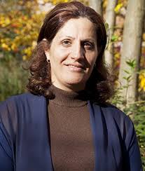 PhD Candidate Futuring for Resilient Urban Spaces