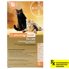 Advantage Multi Cat Heartworm Fleas Worms Lambert Vet Supply