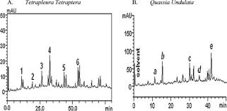 Image result for Quassia undulata