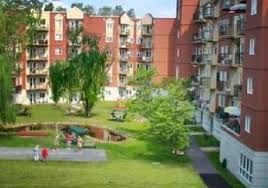 Le saule tortueux a besoin de plein soleil dans un sol riche, frais, humide, profond et bien drainé. Residence Le Jardin Des Saules Retirement Home Laval